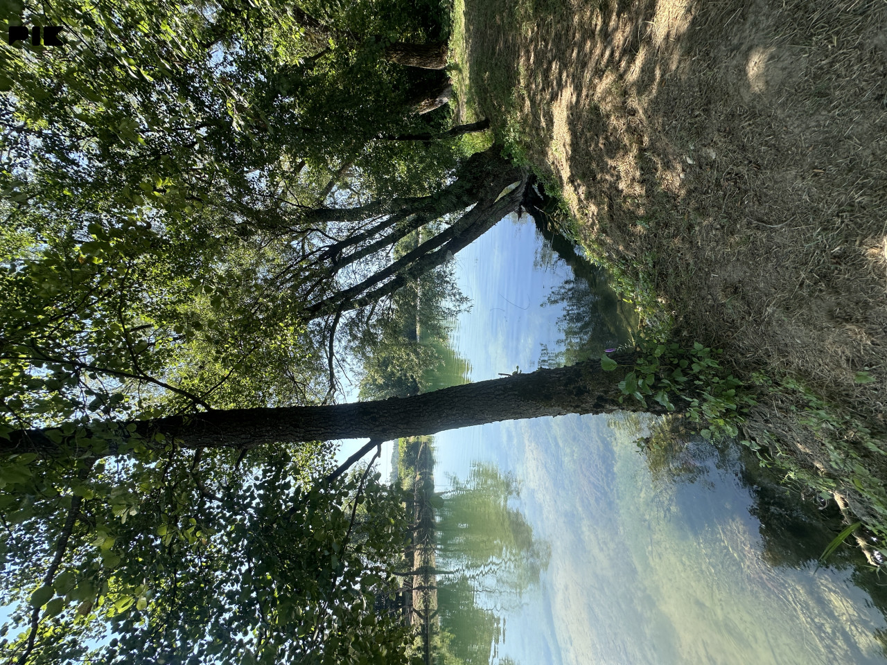 Zemljište Sanski Most 1180m2 2