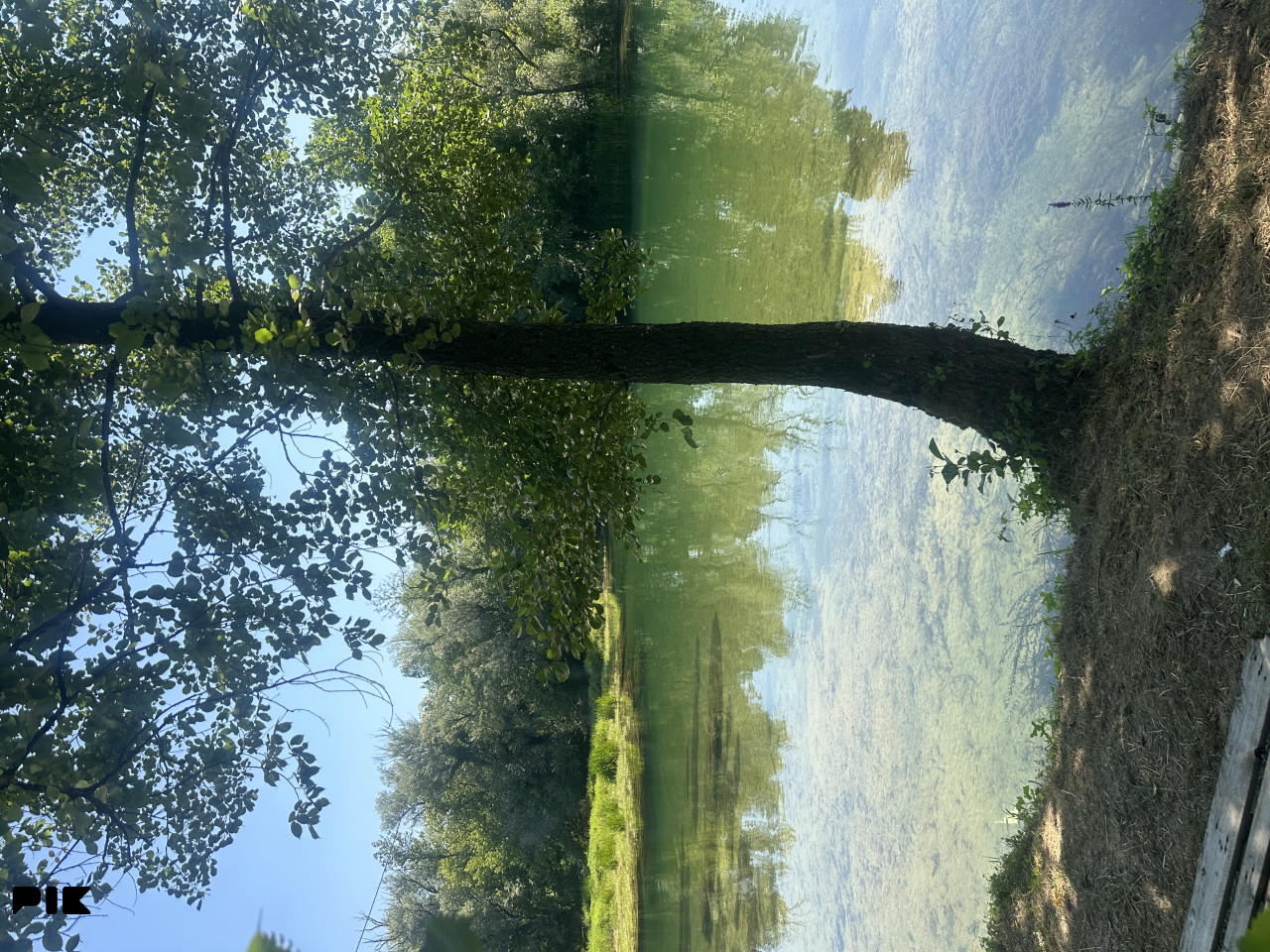 Zemljište Sanski Most 1180m2 3