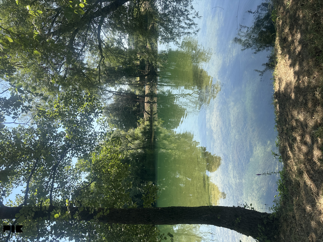 Zemljište Sanski Most 1180m2 6