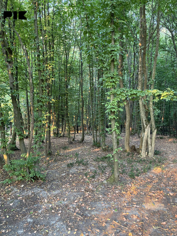 Vikendica Bijeljina 2