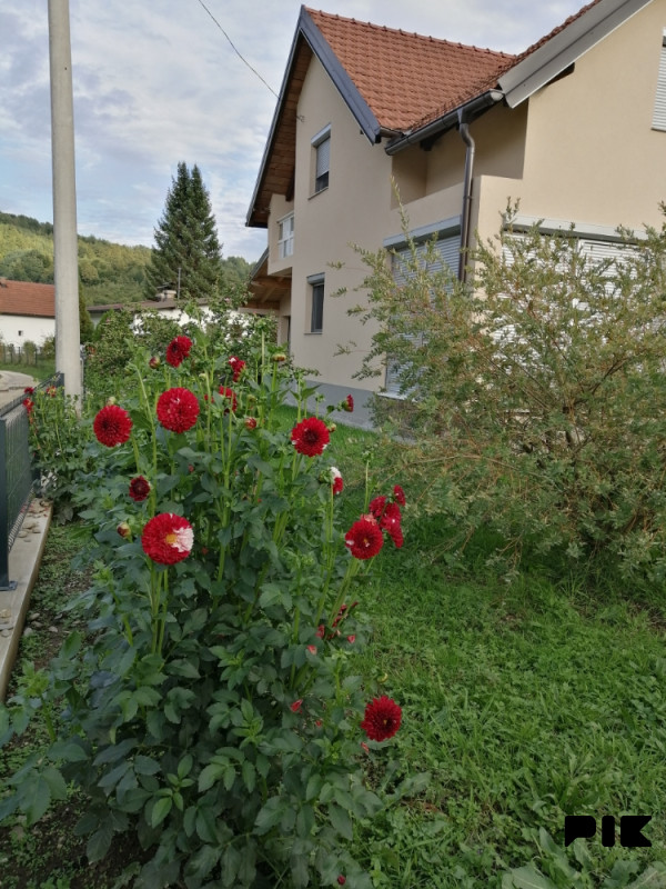 Kuća nekretnina 4
