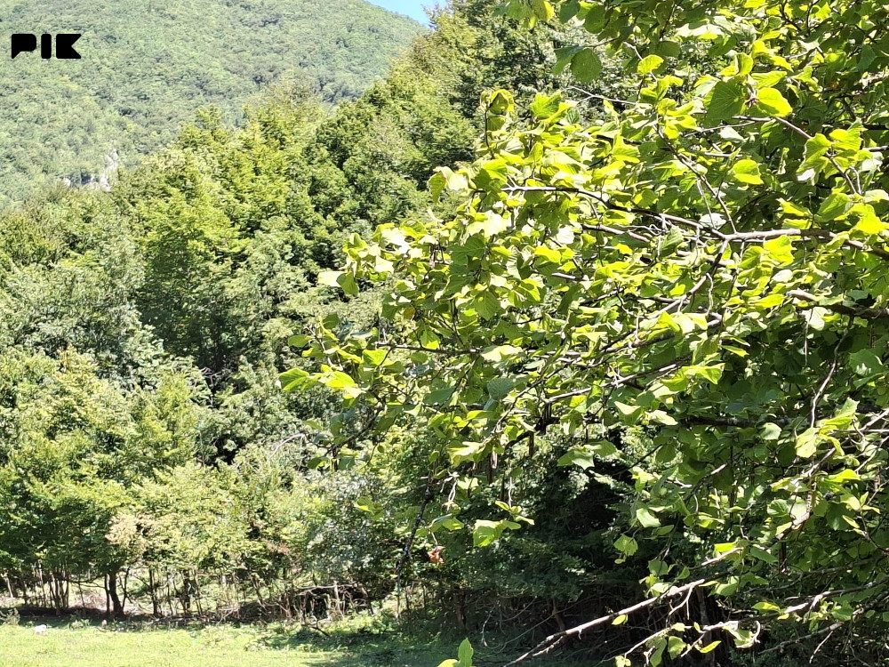 Zemljište kod JAJCA (Jezero Đo) Ćerkazovići 3