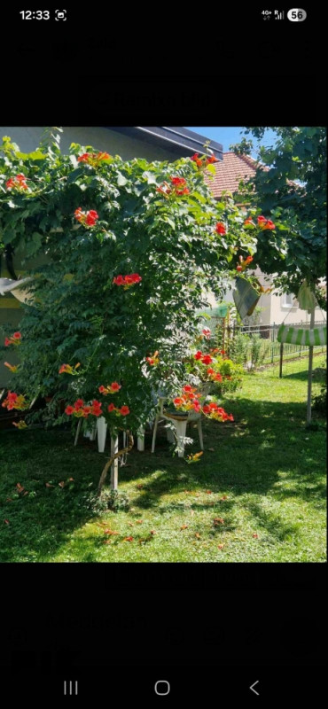 Stanovi i apartmani Ilidža