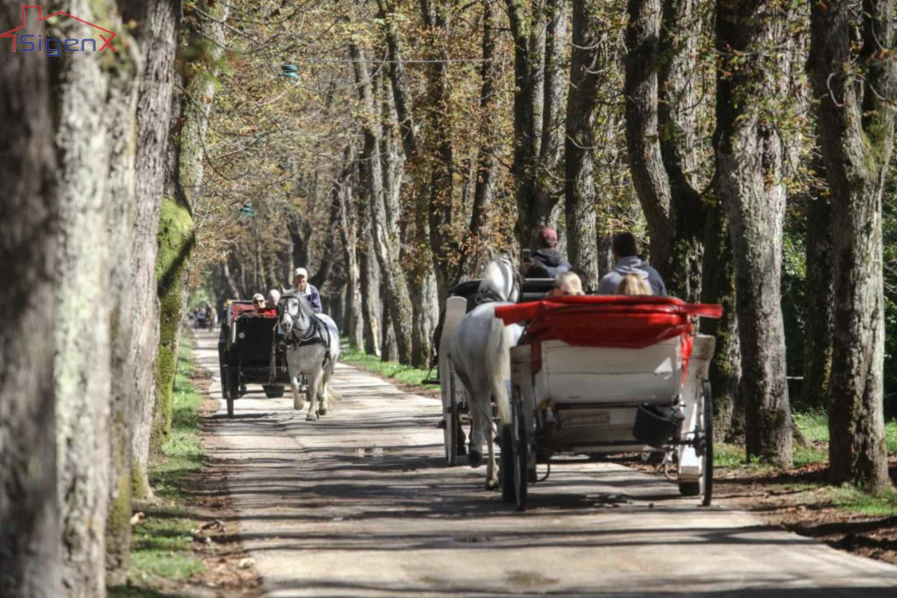 SIGENX: Zemljište Velika aleja/Vrelo Bosne/ Van vodozaštitne zone 8