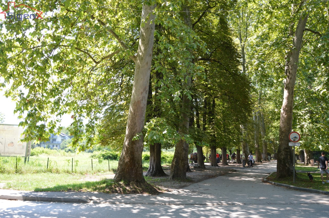 SIGENX: Zemljište Velika aleja/Vrelo Bosne/ Van vodozaštitne zone 12