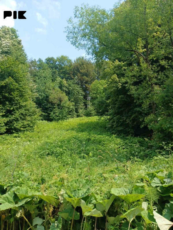 Zemljište Tuzla 2
