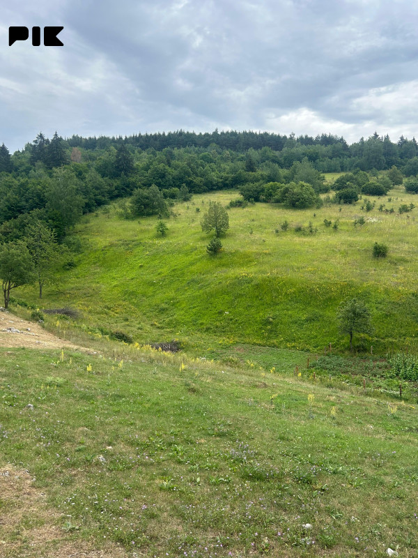 ZEMLJIŠTE 53.506 m2 sa objektom 150 m2 - BORIJE - STARI GRAD 10