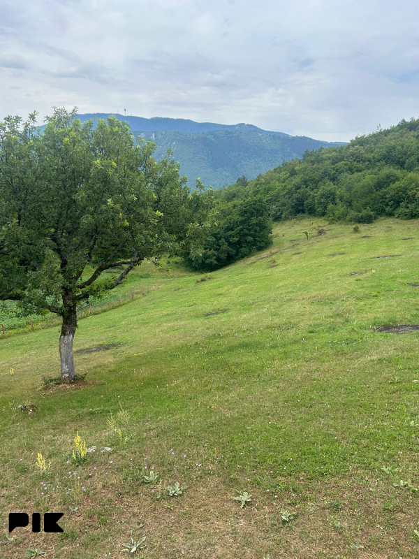 ZEMLJIŠTE 53.506 m2 sa objektom 150 m2 - BORIJE - STARI GRAD 15
