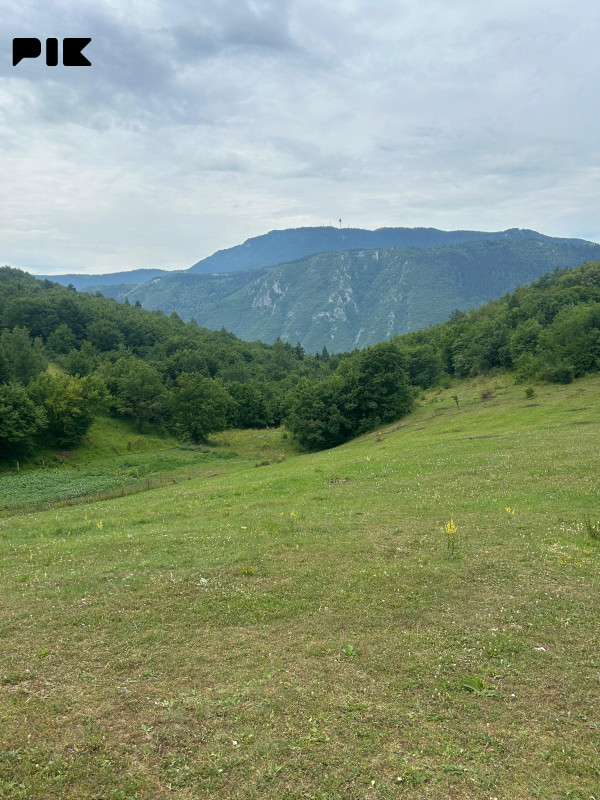 ZEMLJIŠTE 53.506 m2 sa objektom 150 m2 - BORIJE - STARI GRAD 16