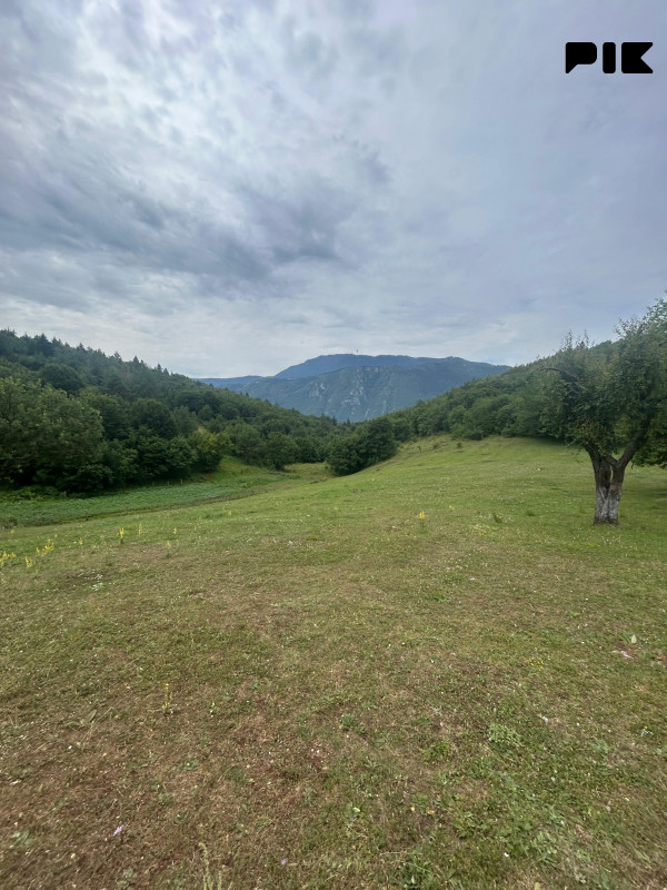 ZEMLJIŠTE 53.506 m2 sa objektom 150 m2 - BORIJE - STARI GRAD 17