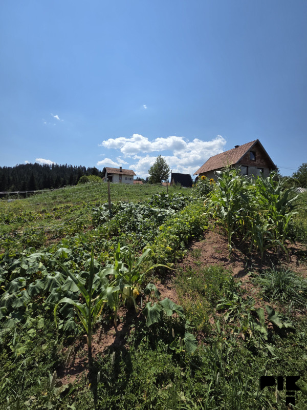 Zemljište Pale 1954m2 16