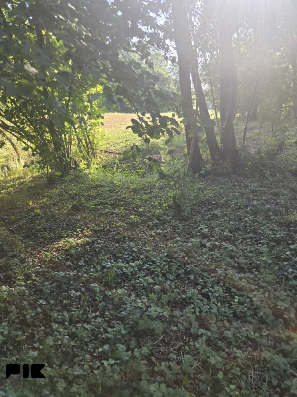 Vikendica Banja Luka Šargovac Kuća 9