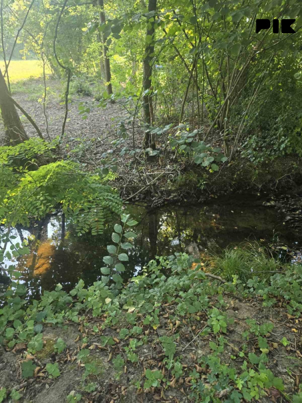 Vikendica Banja Luka Šargovac Kuća 13
