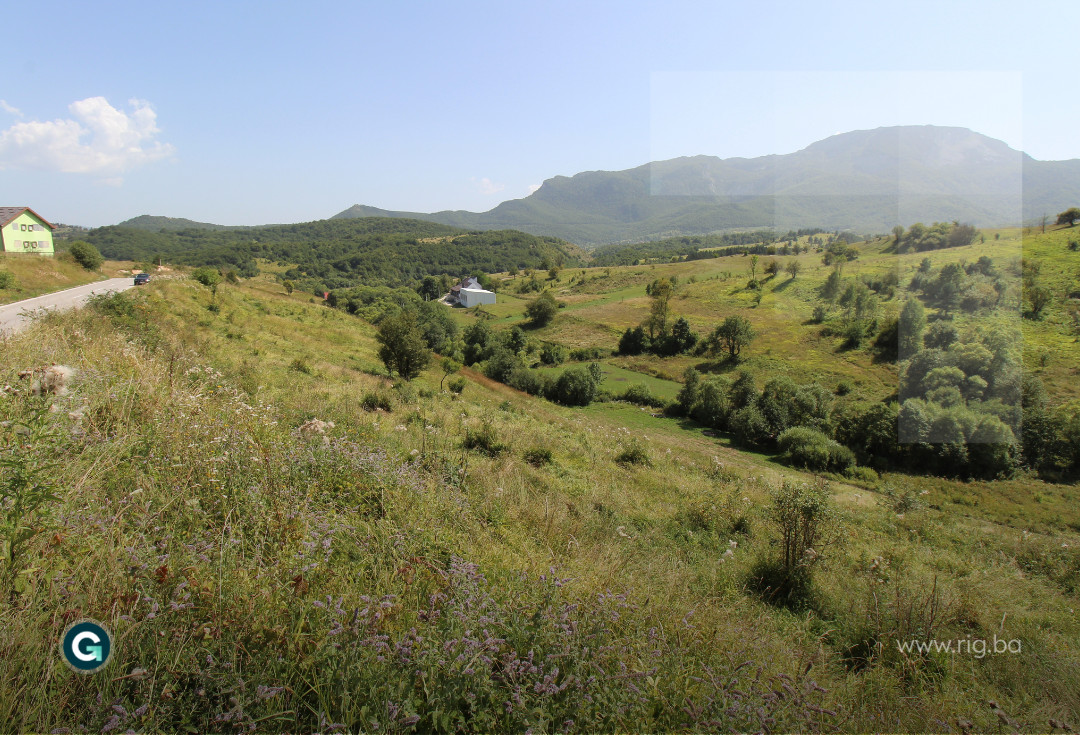 ZEMLJIŠNA PARCELA / Dejčići / Trnovo / PRODAJA 2