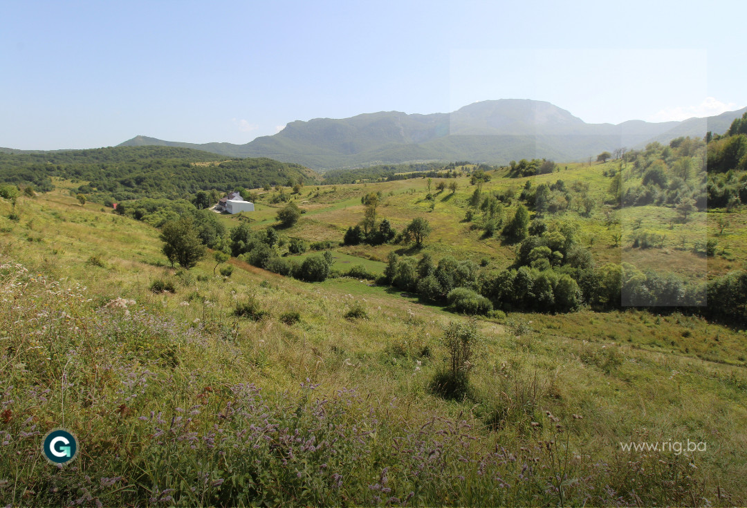 ZEMLJIŠNA PARCELA / Dejčići / Trnovo / PRODAJA 3