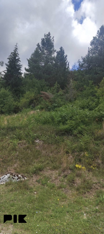 Prodaje se šuma 2. klase 24.972 m Han Pijesak,Podžeplje 2
