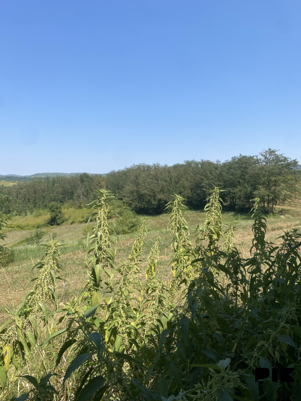Zemljište Sanski Most