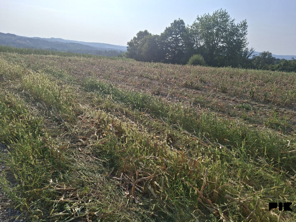Zemljište Veliko ,,Blaško 2