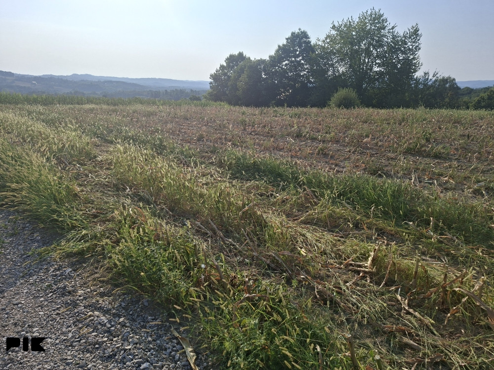 Zemljište Veliko ,,Blaško 3