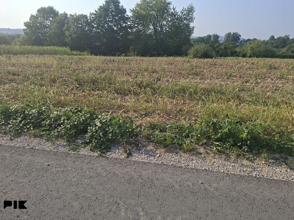 Zemljište Veliko ,,Blaško 4
