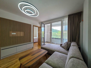 Apartman sa dvije spavaće sobe, skijašnicom i garažom Jahorina photo 4