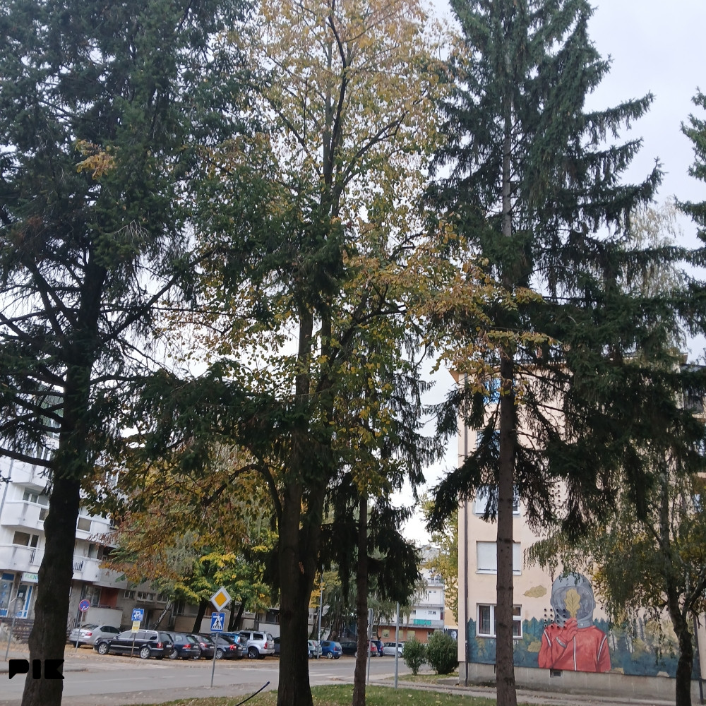 Mijenjam stan za manji 4