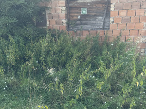 Kuća Ilidža photo 3