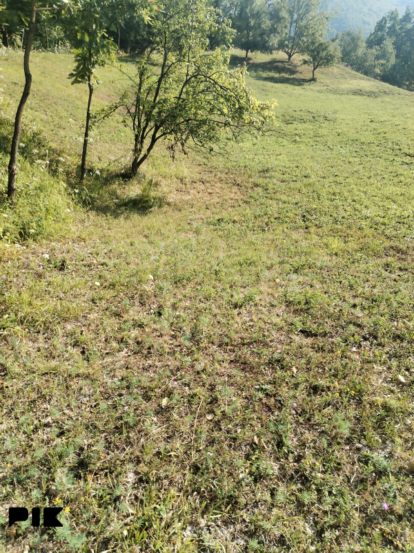 Zemljište Istočno Sarajevo 3000m2 4