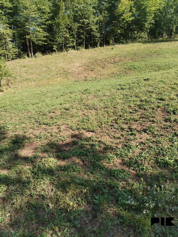 Zemljište Istočno Sarajevo 3000m2 6