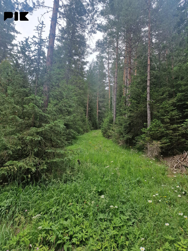 [ Šumsko zemljište Han Pijesak ] voda, struja, put, 32000m2 7