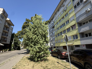 Jedinstvena prilika-stan 80 m2-Nova Varoš-kod Kafanice-renoviran photo 2