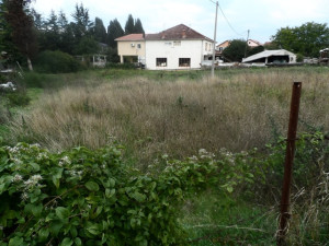 House with land in Domanovići photo 4