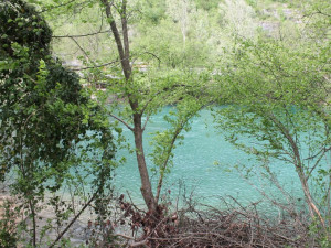 Posjed sa modernom kućom uz rijeku Unu photo 4