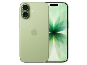 Apple iPhone 17 256GB Only eSim Sage