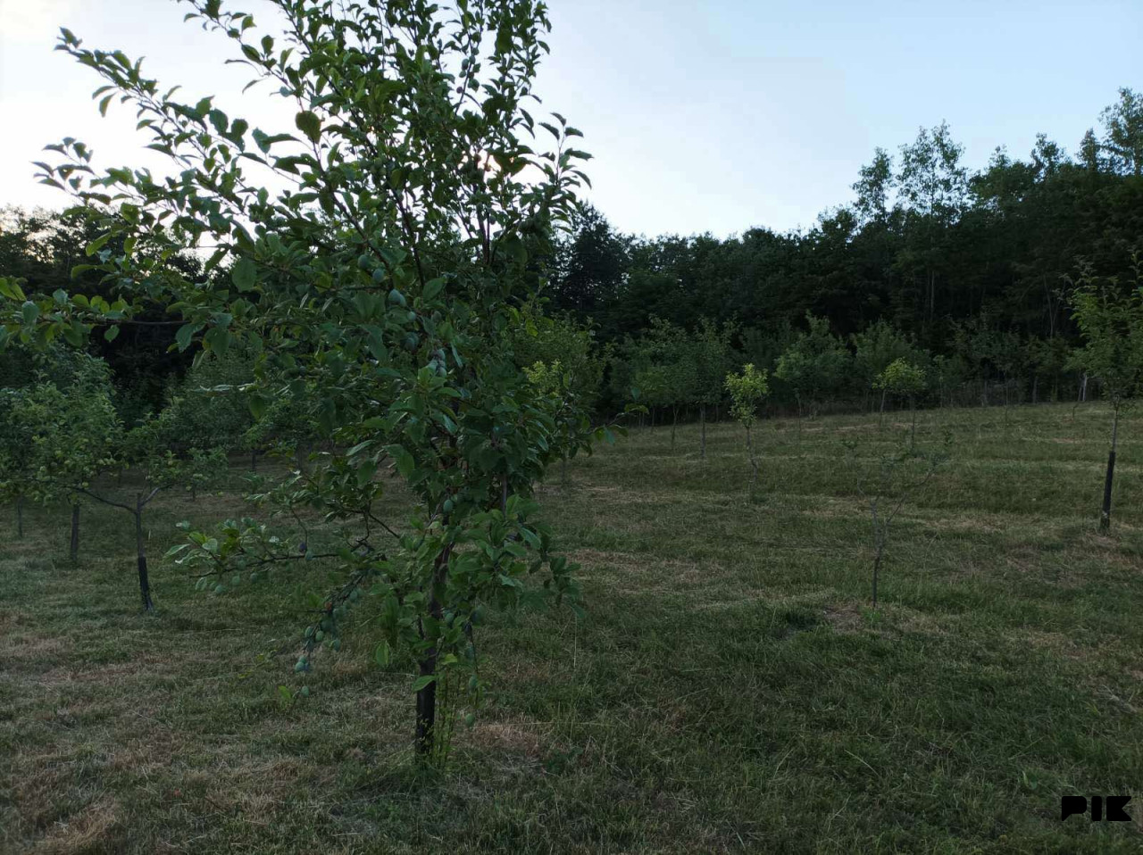 Zemljište PRIJEDOR 4000m2