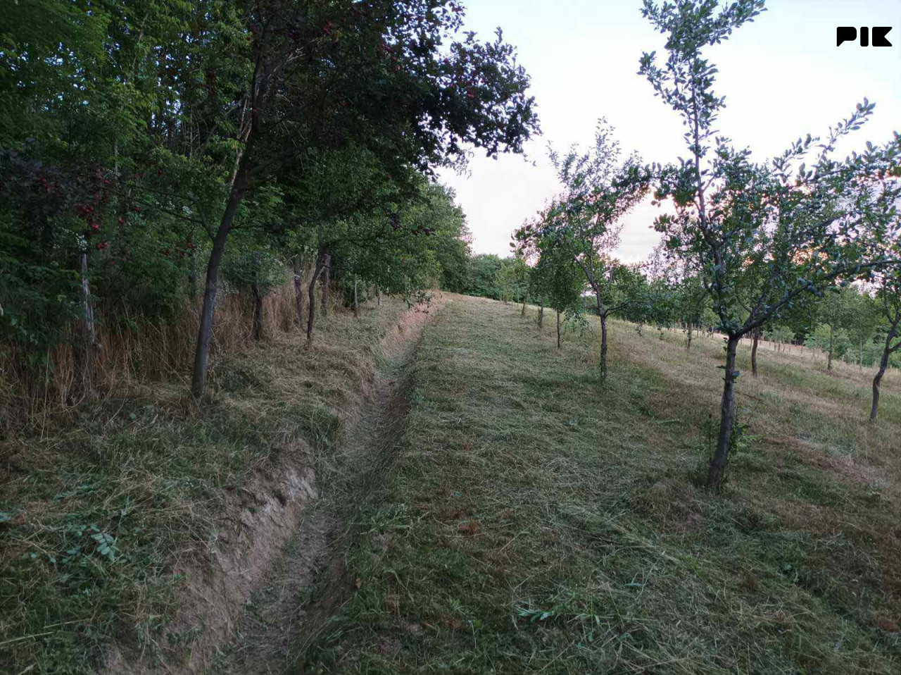Zemljište PRIJEDOR 4000m2 2