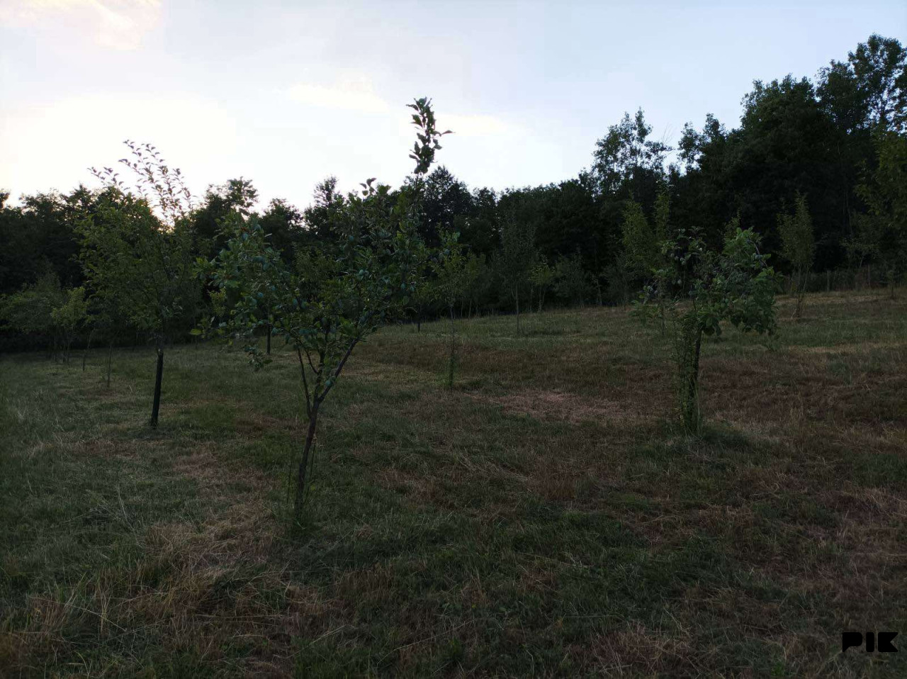 Zemljište PRIJEDOR 4000m2 4
