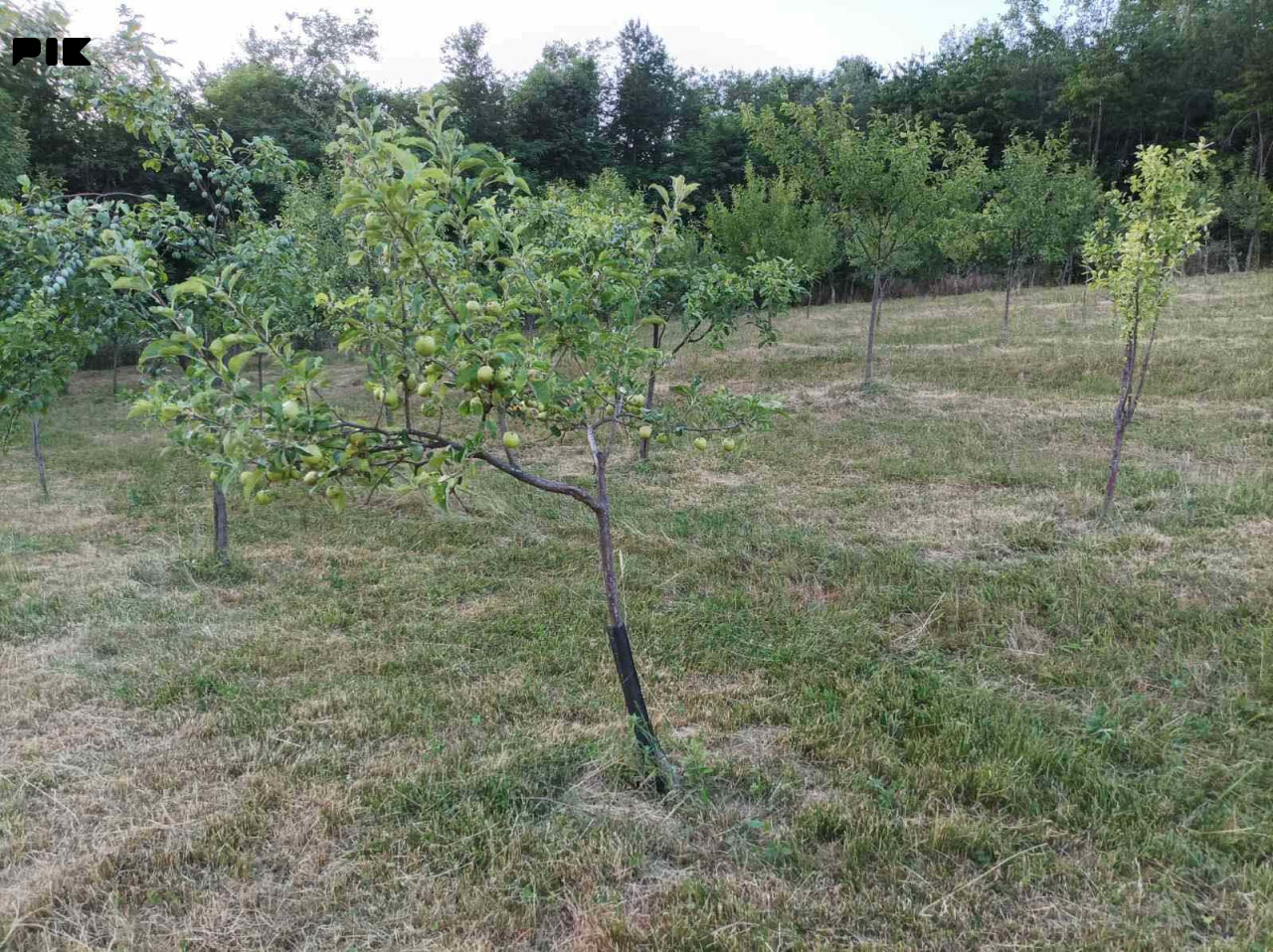 Zemljište PRIJEDOR 4000m2 5