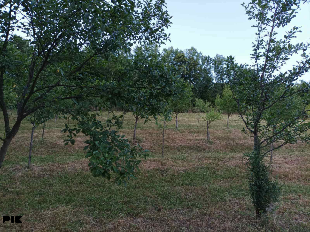 Zemljište PRIJEDOR 4000m2 6