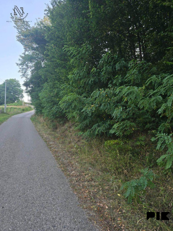 Debeljaci, plac od 2550m2 za kuću ili vikendicu 3