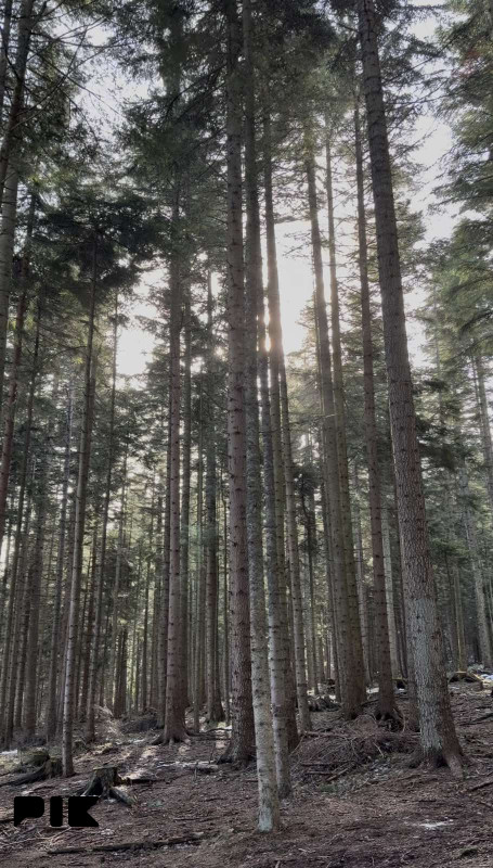 TREBEVIĆ (BRUS),ZEMLJISTE SA PLAČENOM GRAĐEVINSKOM DOZVOLOM 3