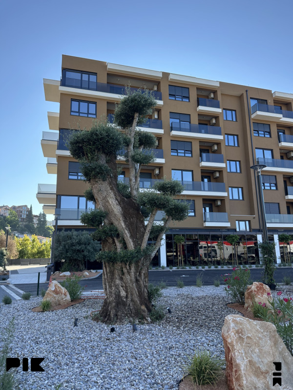 Trosoban stan 80 m2 s prostranim balkonom - Hills Residence 3