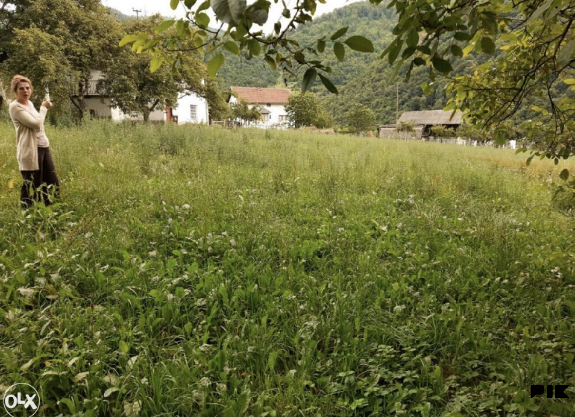 Zemljište Vinac 12 duluma 4