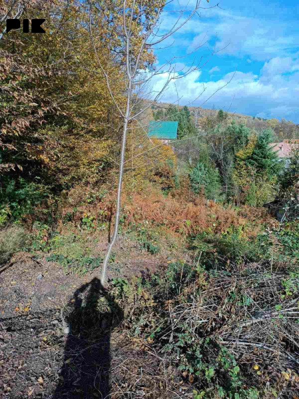 Zemljište Ilidža 4
