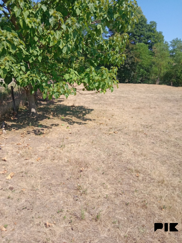 Zemljište Markovac 6