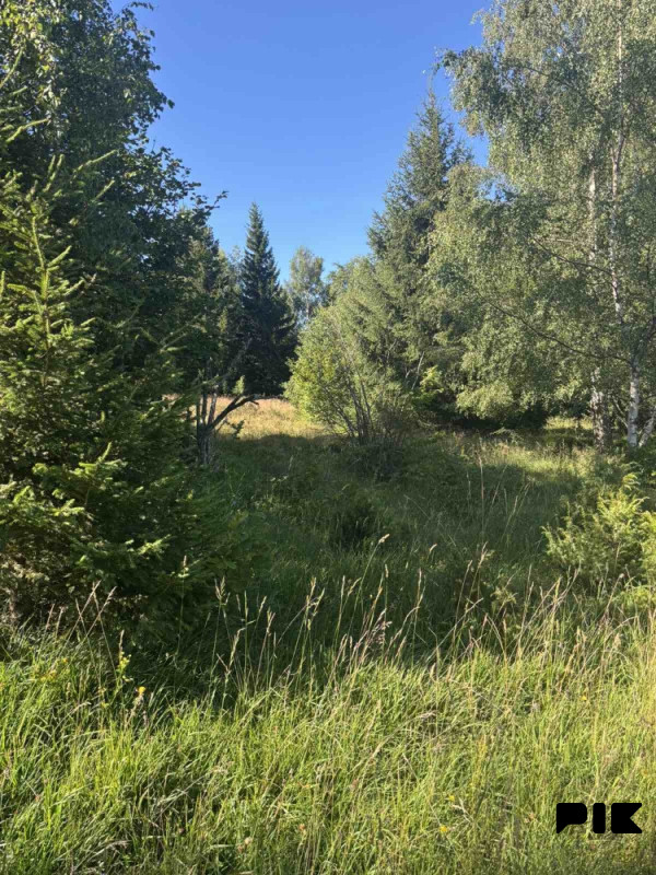 Zemljište - SARAJEVO opstina Čavljak - pješčana ravan 062 350 271 2