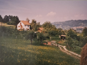 Kuća Priboj kod Lopara  01/26 photo 2