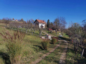 Kuća Priboj kod Lopara  01/26 photo 4
