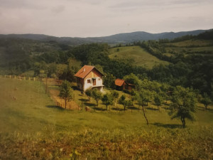 Kuća Priboj kod Lopara  01/26 photo 5