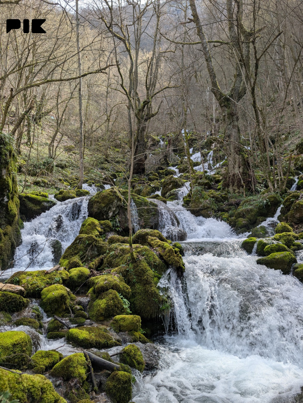 Kuća, zemlja, livada, suma, izvor Presjenica, Trnovo 4